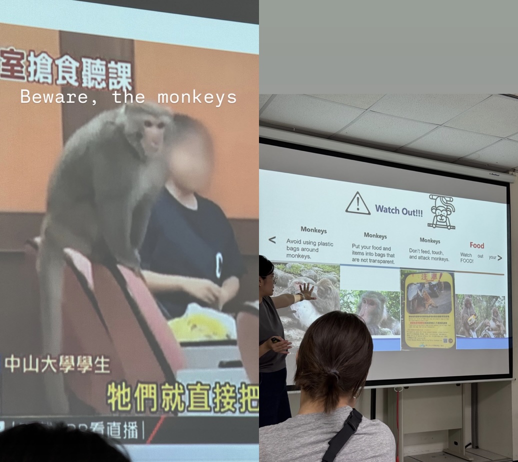 Slides warning of monkeys near NSYSU
