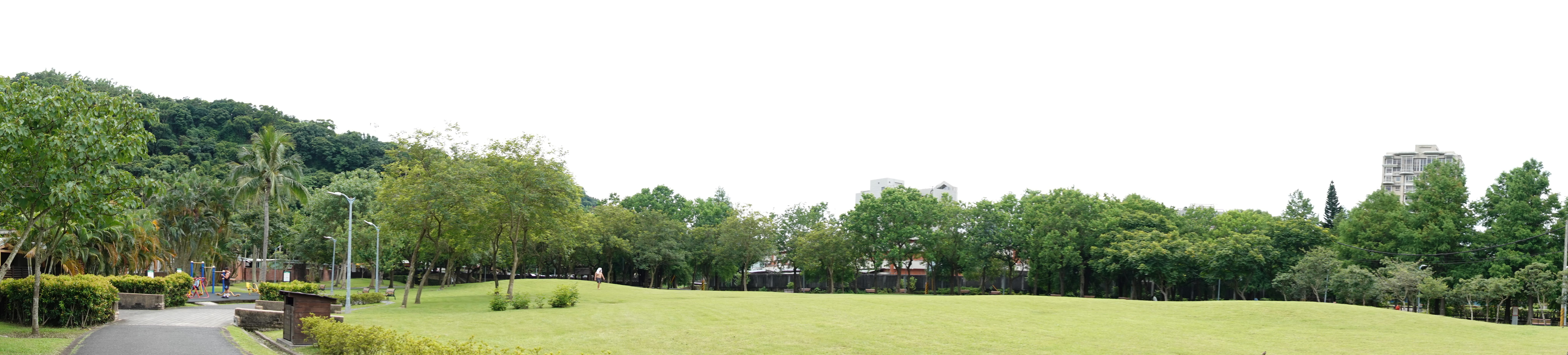 Panoramic view of a wide grassy lawn bordered by trees in an urban park.