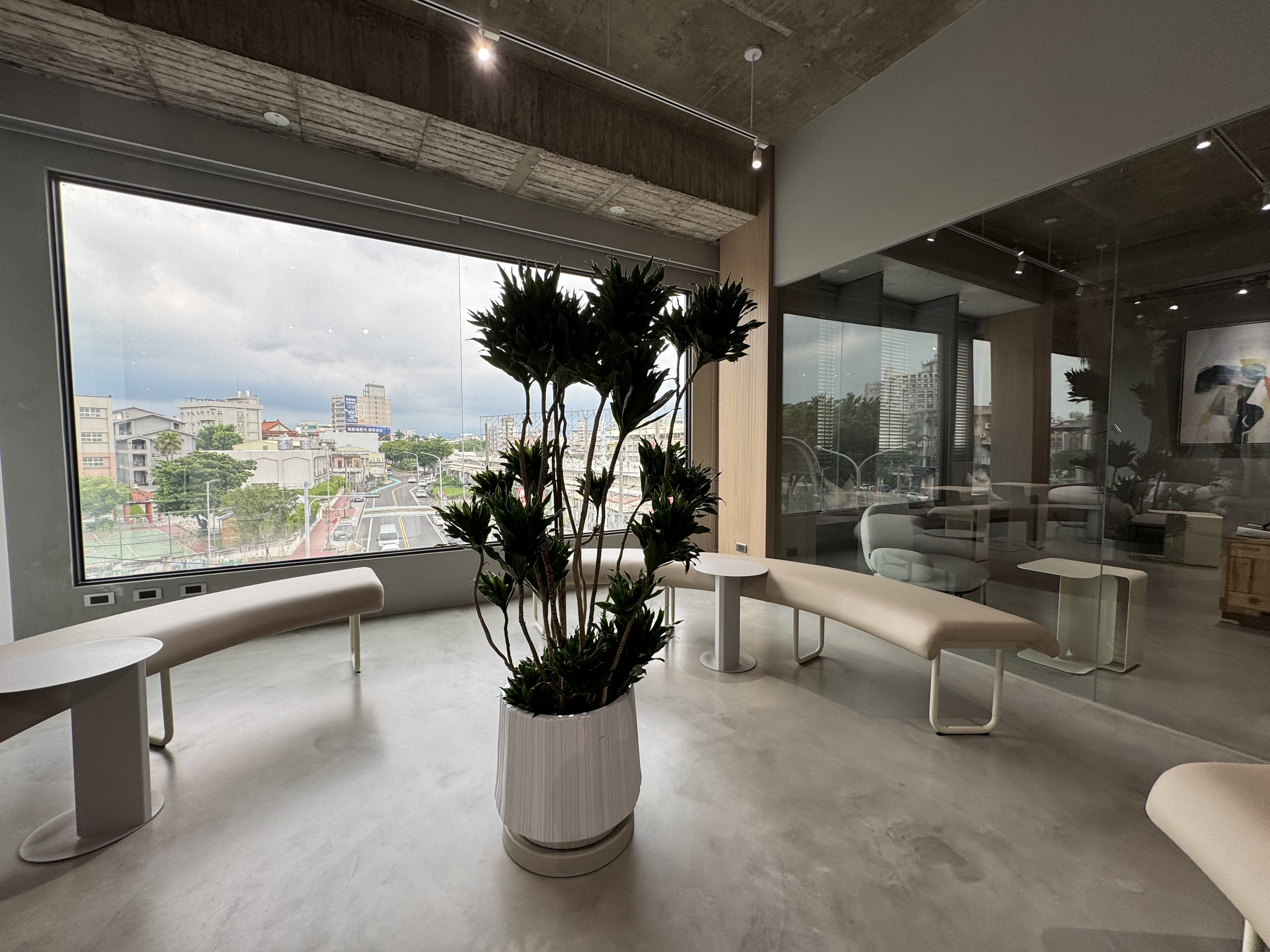 Wide view of a minimalist lounge—curved benches, large picture window, and a central potted plant.
